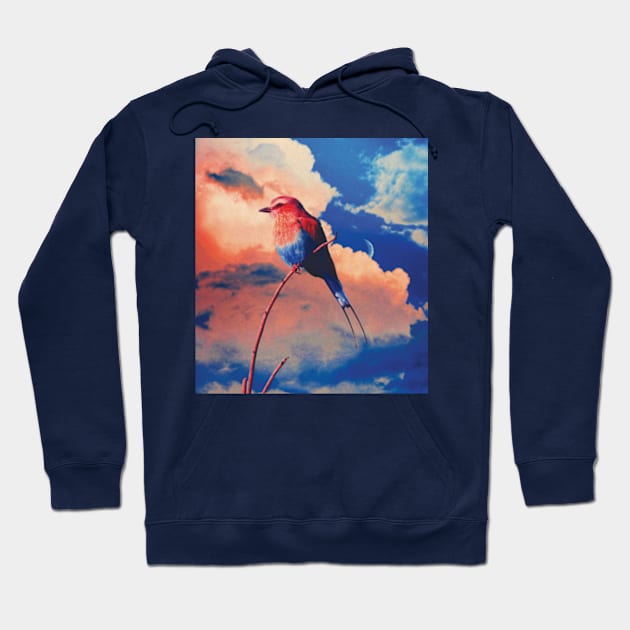 Colorful Bird sky moon Hoodie by Frajtgorski